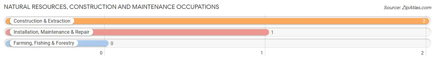 Natural Resources, Construction and Maintenance Occupations in Comstock