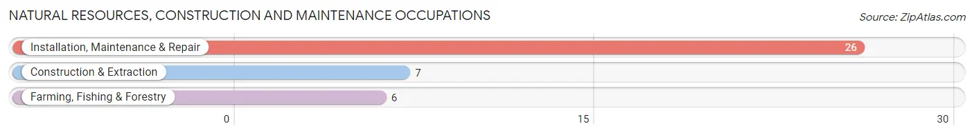 Natural Resources, Construction and Maintenance Occupations in De Witt