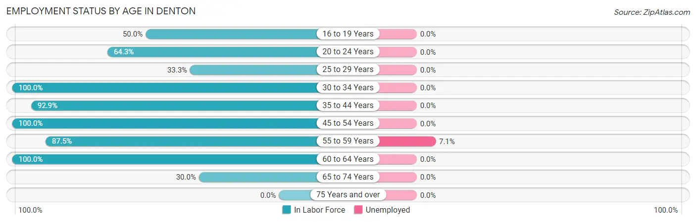 Employment Status by Age in Denton