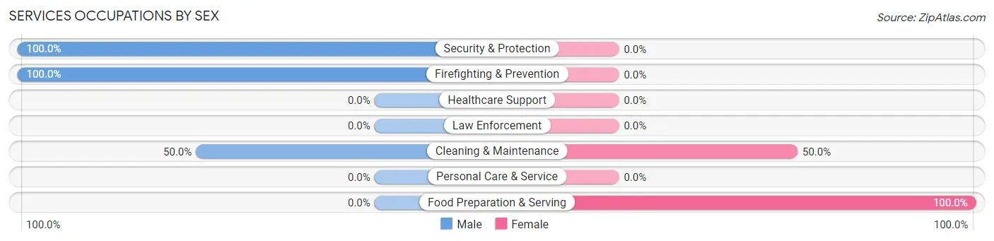 Services Occupations by Sex in Denton