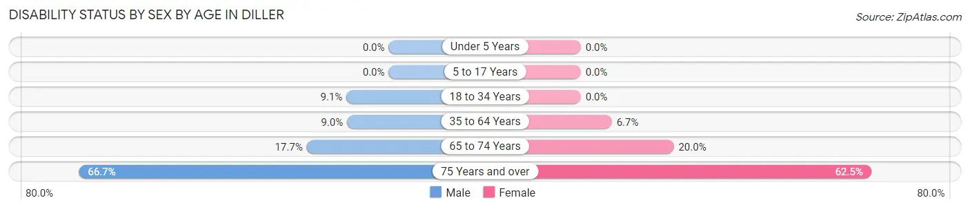 Disability Status by Sex by Age in Diller