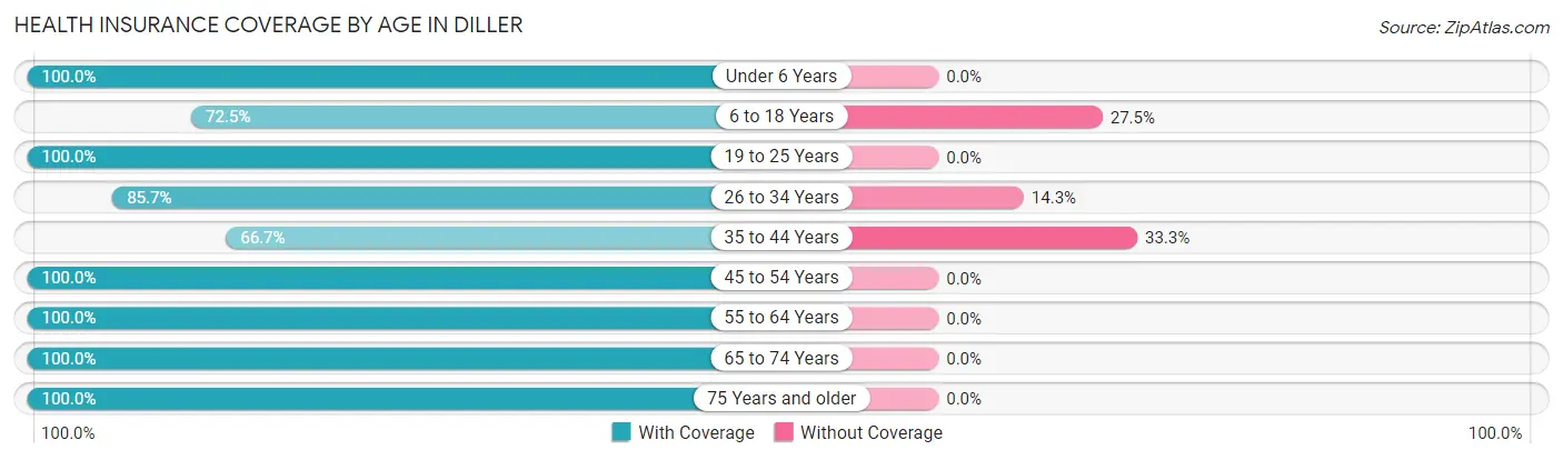 Health Insurance Coverage by Age in Diller