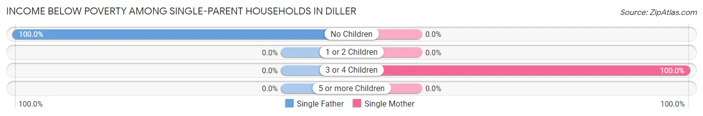 Income Below Poverty Among Single-Parent Households in Diller