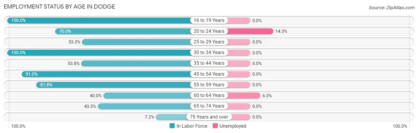 Employment Status by Age in Dodge