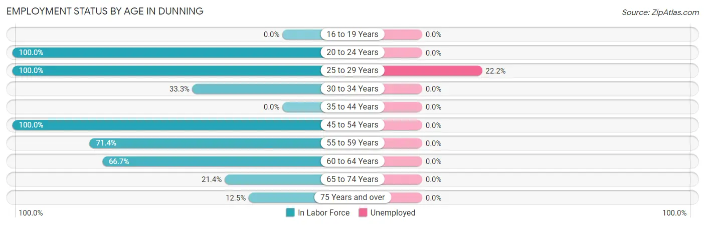 Employment Status by Age in Dunning