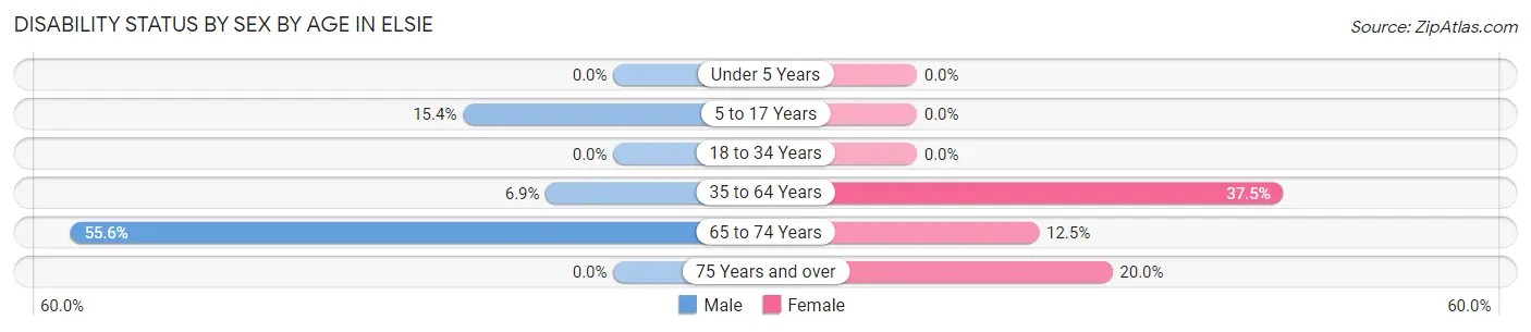 Disability Status by Sex by Age in Elsie