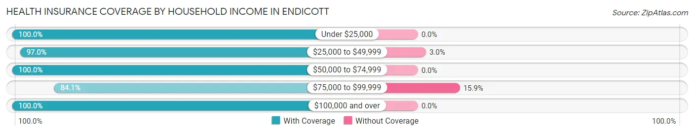 Health Insurance Coverage by Household Income in Endicott