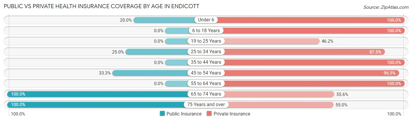 Public vs Private Health Insurance Coverage by Age in Endicott