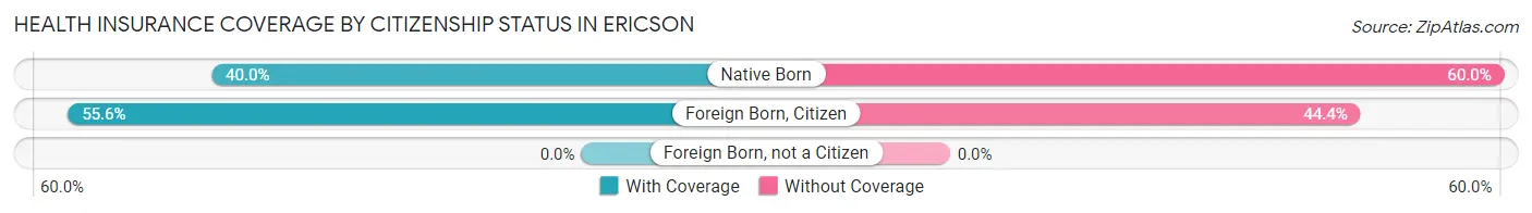 Health Insurance Coverage by Citizenship Status in Ericson