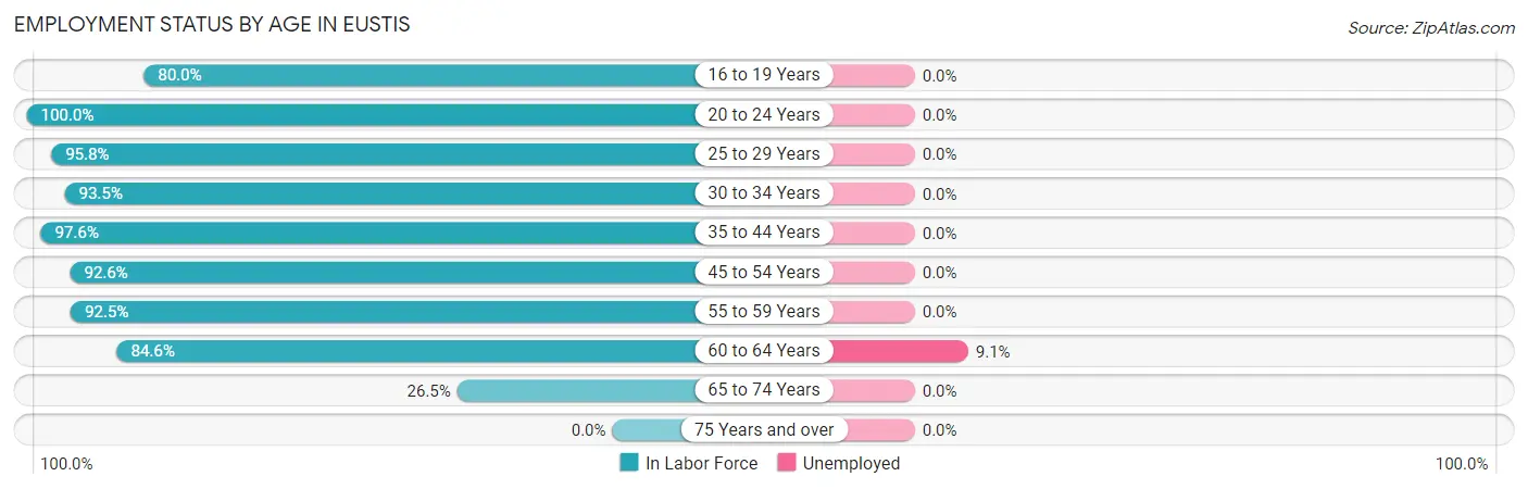 Employment Status by Age in Eustis