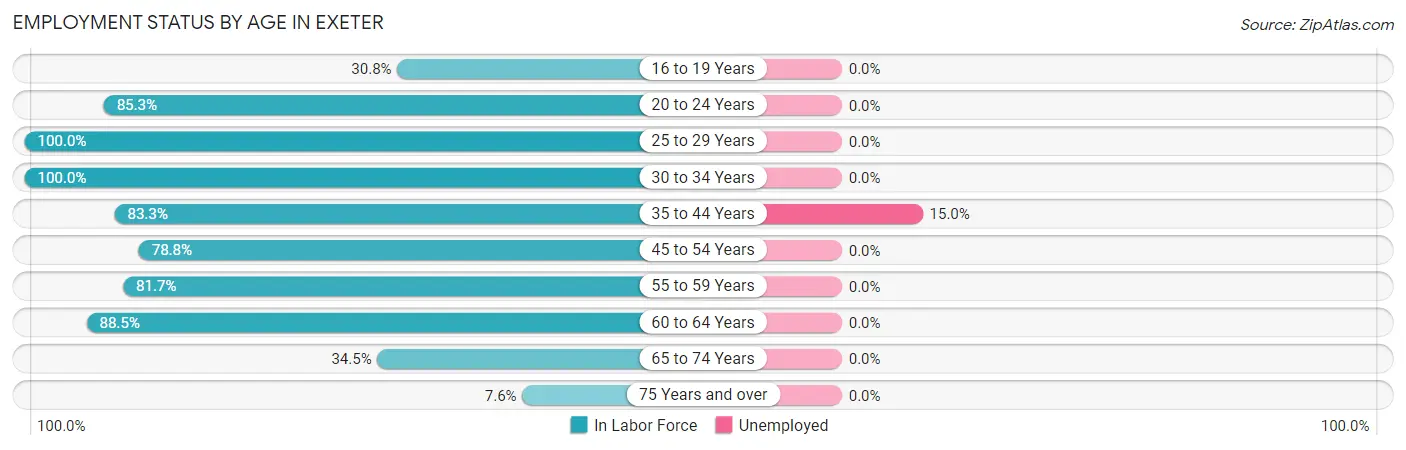 Employment Status by Age in Exeter