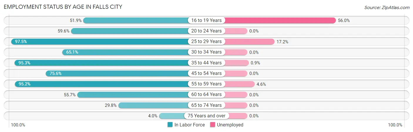 Employment Status by Age in Falls City