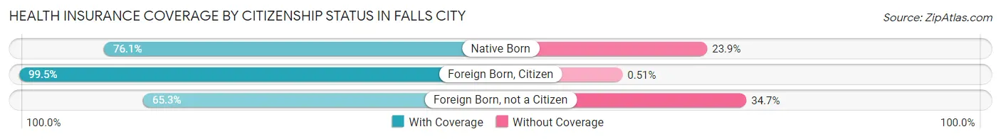 Health Insurance Coverage by Citizenship Status in Falls City