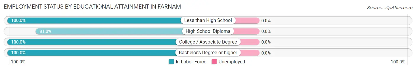 Employment Status by Educational Attainment in Farnam