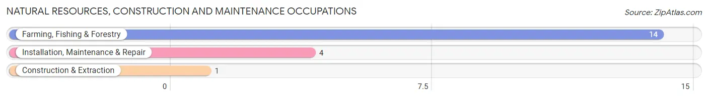 Natural Resources, Construction and Maintenance Occupations in Farnam