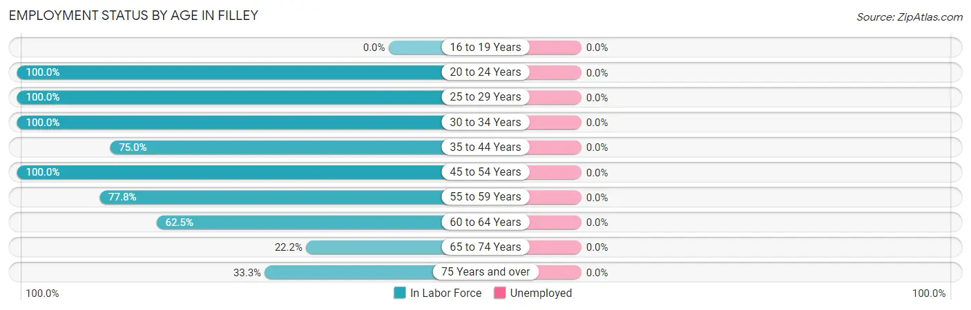 Employment Status by Age in Filley