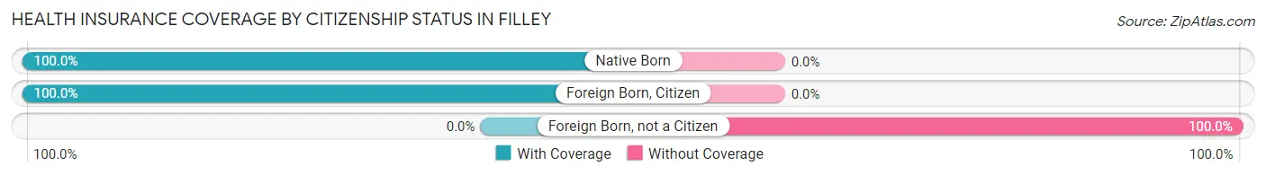 Health Insurance Coverage by Citizenship Status in Filley