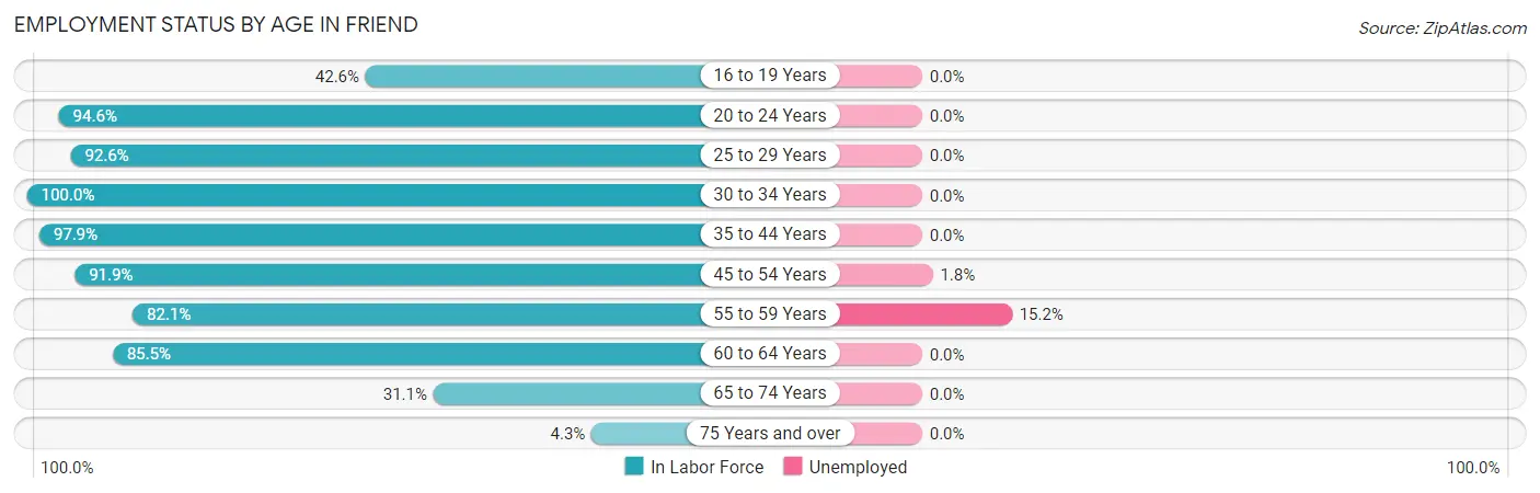 Employment Status by Age in Friend