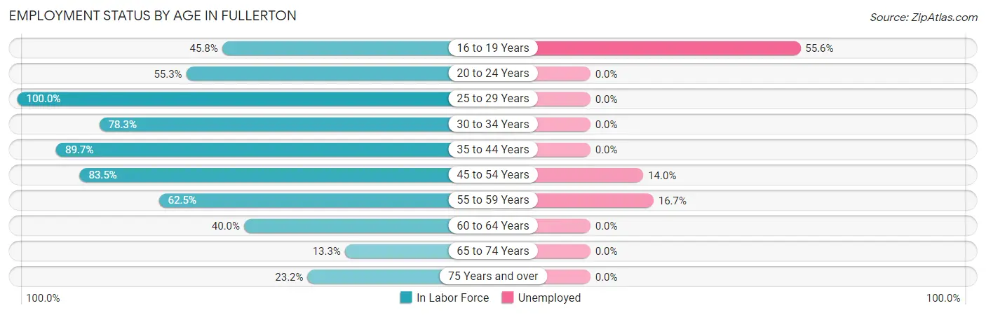Employment Status by Age in Fullerton