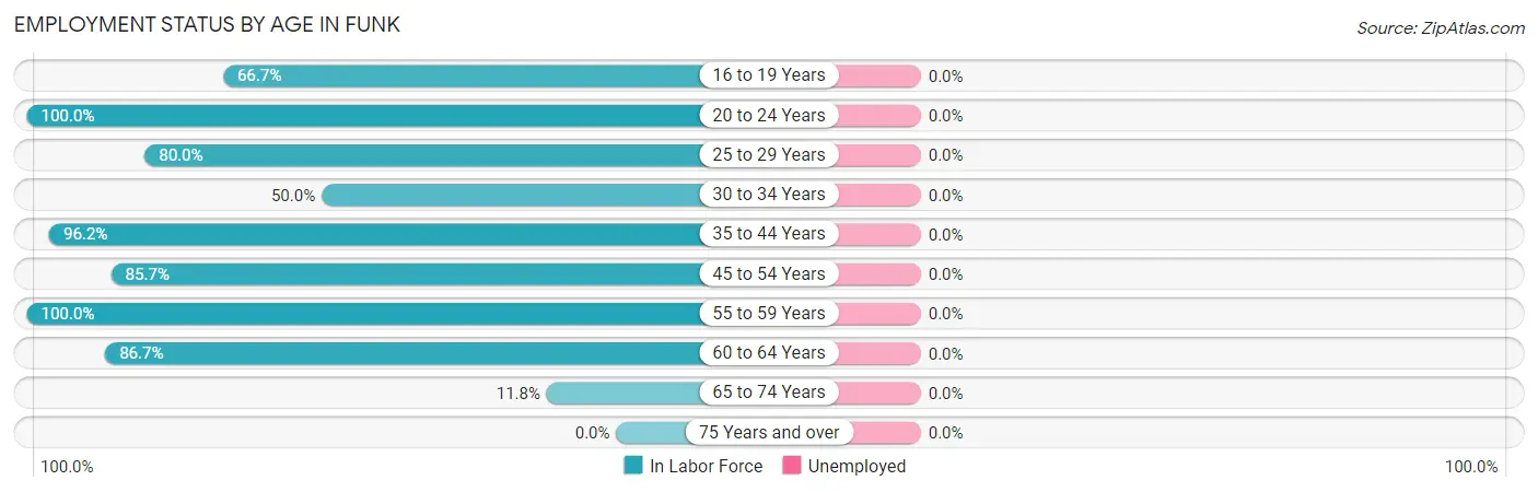 Employment Status by Age in Funk
