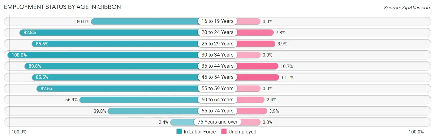 Employment Status by Age in Gibbon