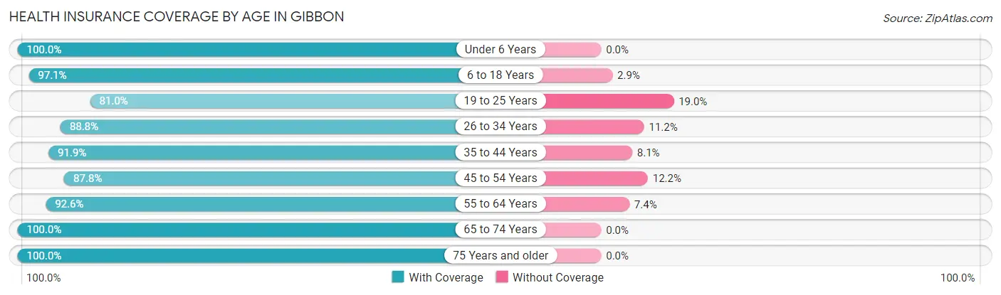 Health Insurance Coverage by Age in Gibbon