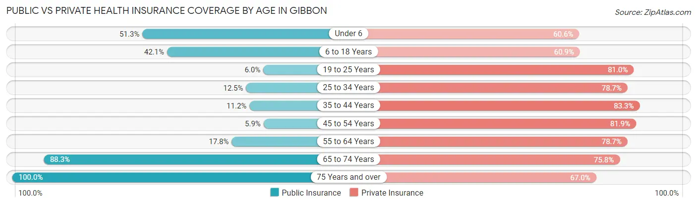 Public vs Private Health Insurance Coverage by Age in Gibbon