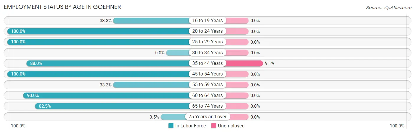 Employment Status by Age in Goehner