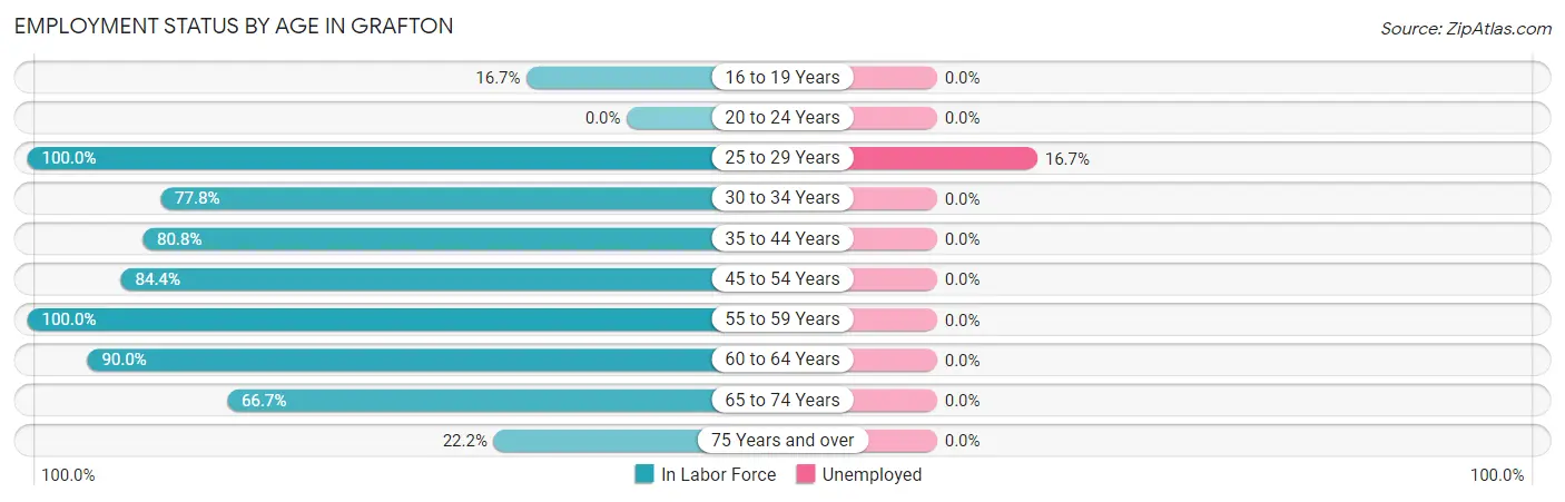 Employment Status by Age in Grafton