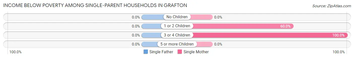 Income Below Poverty Among Single-Parent Households in Grafton