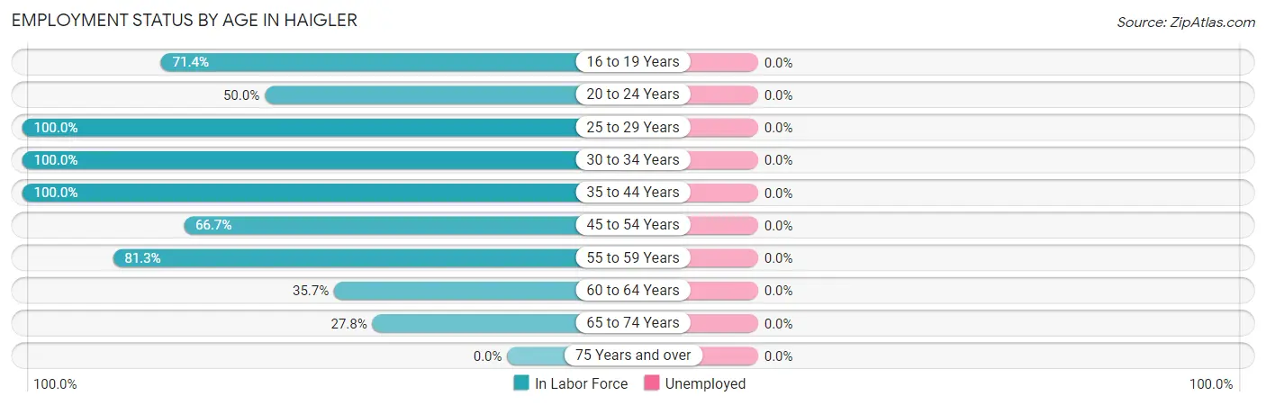 Employment Status by Age in Haigler