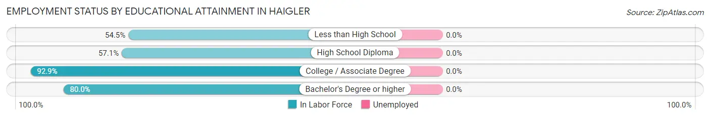 Employment Status by Educational Attainment in Haigler