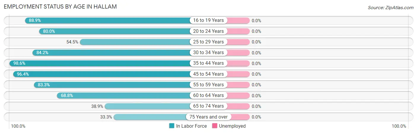 Employment Status by Age in Hallam