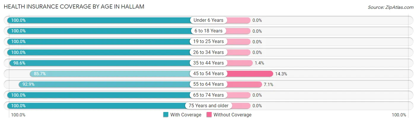Health Insurance Coverage by Age in Hallam