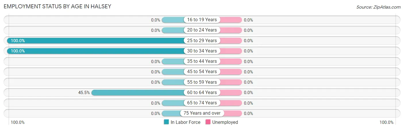 Employment Status by Age in Halsey