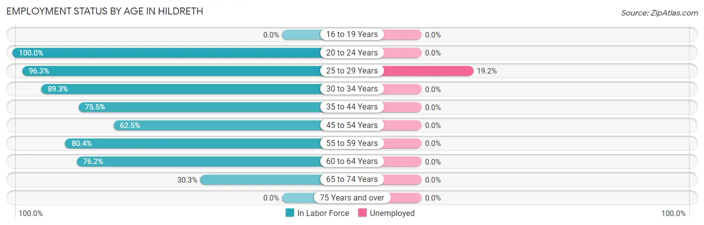 Employment Status by Age in Hildreth