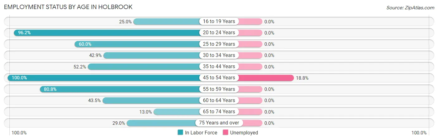 Employment Status by Age in Holbrook