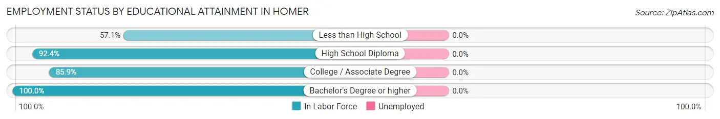 Employment Status by Educational Attainment in Homer