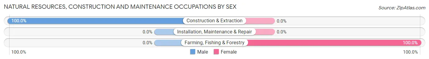 Natural Resources, Construction and Maintenance Occupations by Sex in Hordville