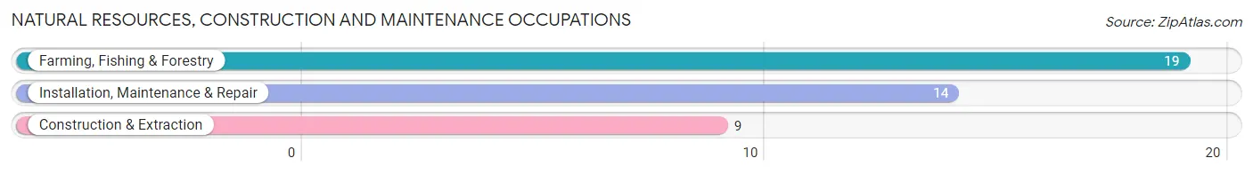 Natural Resources, Construction and Maintenance Occupations in Howells