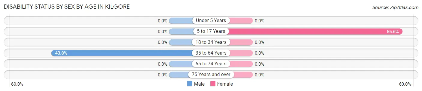Disability Status by Sex by Age in Kilgore