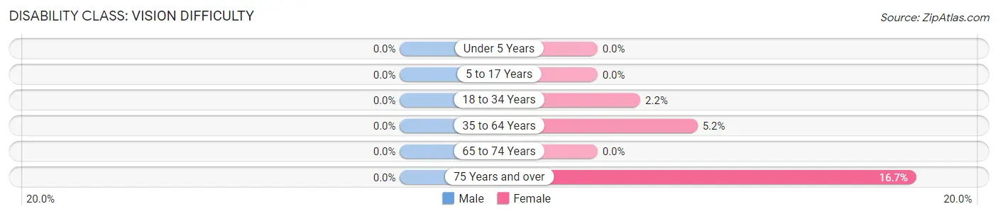 Disability in Laurel: <span>Vision Difficulty</span>