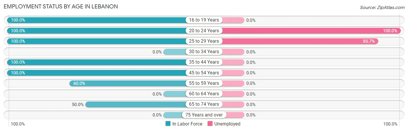 Employment Status by Age in Lebanon