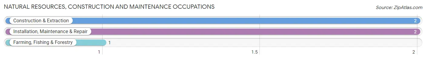 Natural Resources, Construction and Maintenance Occupations in Lebanon