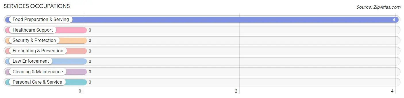 Services Occupations in Lewellen