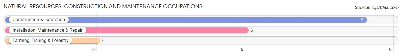 Natural Resources, Construction and Maintenance Occupations in Lodgepole