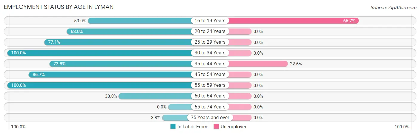 Employment Status by Age in Lyman