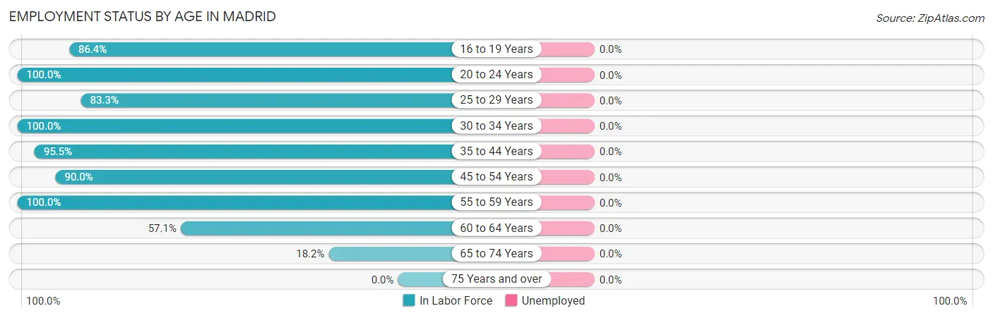 Employment Status by Age in Madrid