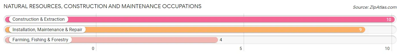 Natural Resources, Construction and Maintenance Occupations in Madrid