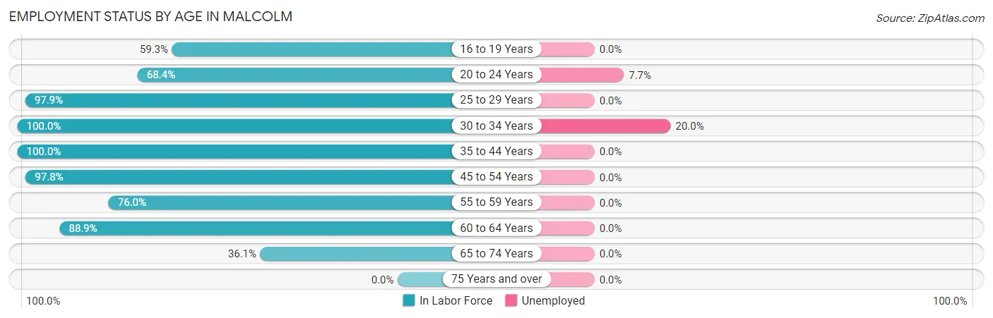 Employment Status by Age in Malcolm